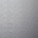 No.8913 Vein