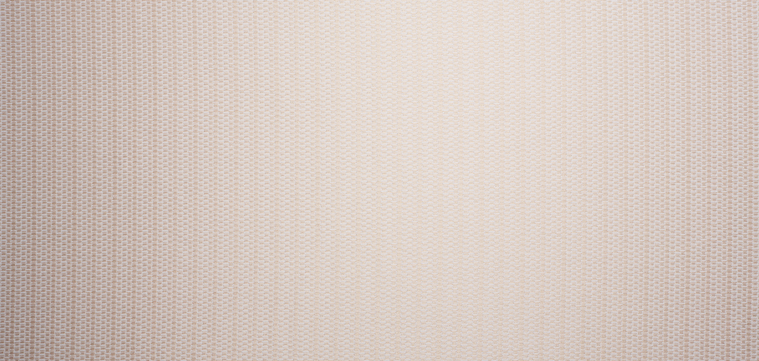 No.9088 Luster BACK